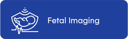 Fetal Imaging 1