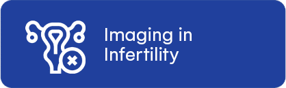 Imaging in Infertility